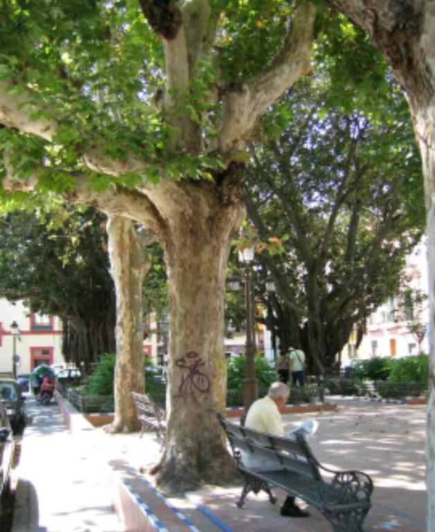 En El Corazon De Sevilla Appartamento